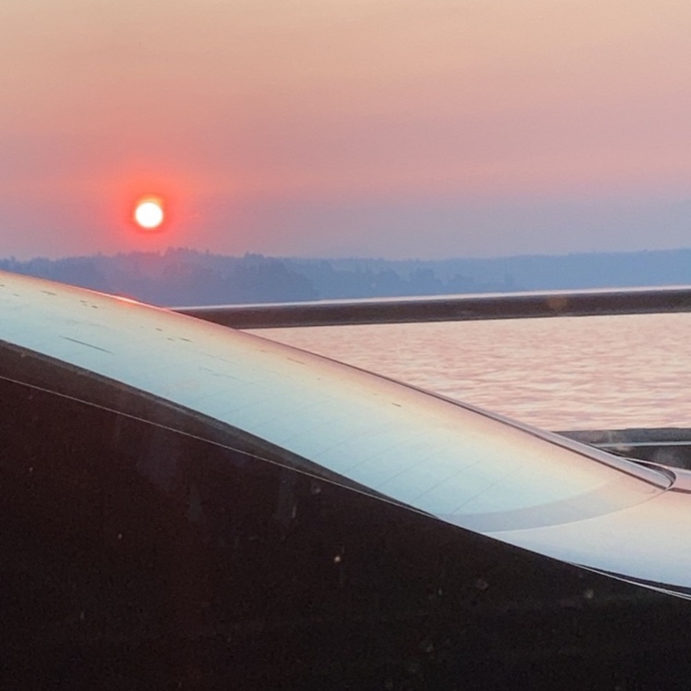 Meet your Posher, Cassie